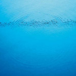 Caribou, la critica del nuevo disco 'Suddenly'