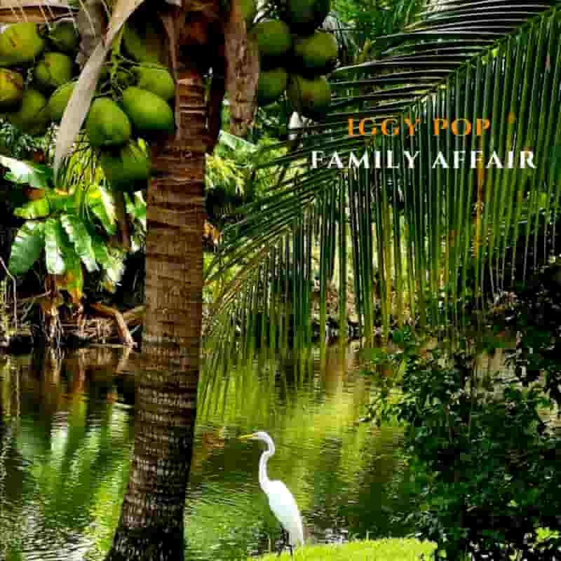 Iggy Pop 'Family Affair'