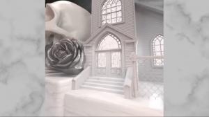 Lil Wayne Doja Cat shimmy