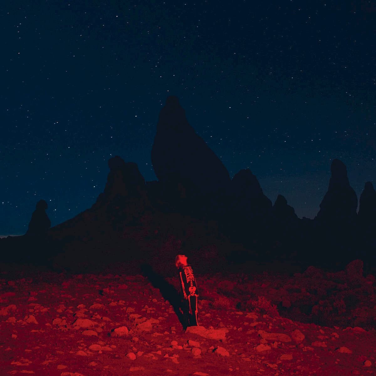 Phoebe Bridgers Punisher