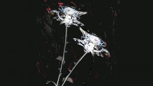 unconditional de Shygirl con Arca